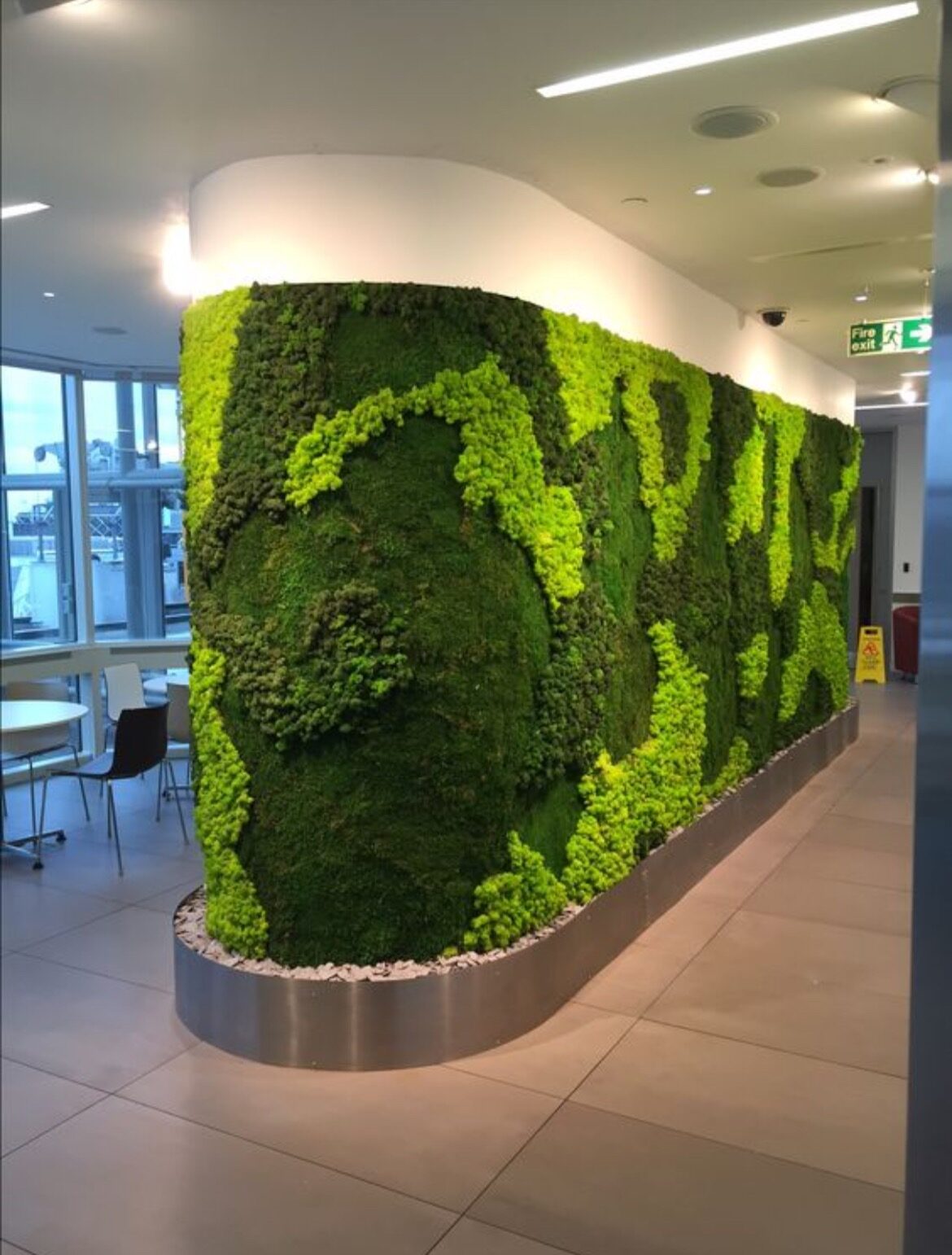 C. Wall — Full wall covering with varied mosses and preserved plants