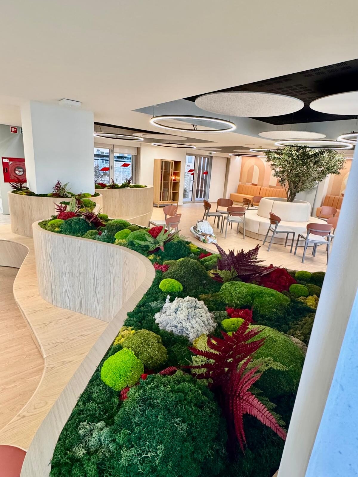Preserved moss vertical garden for an office