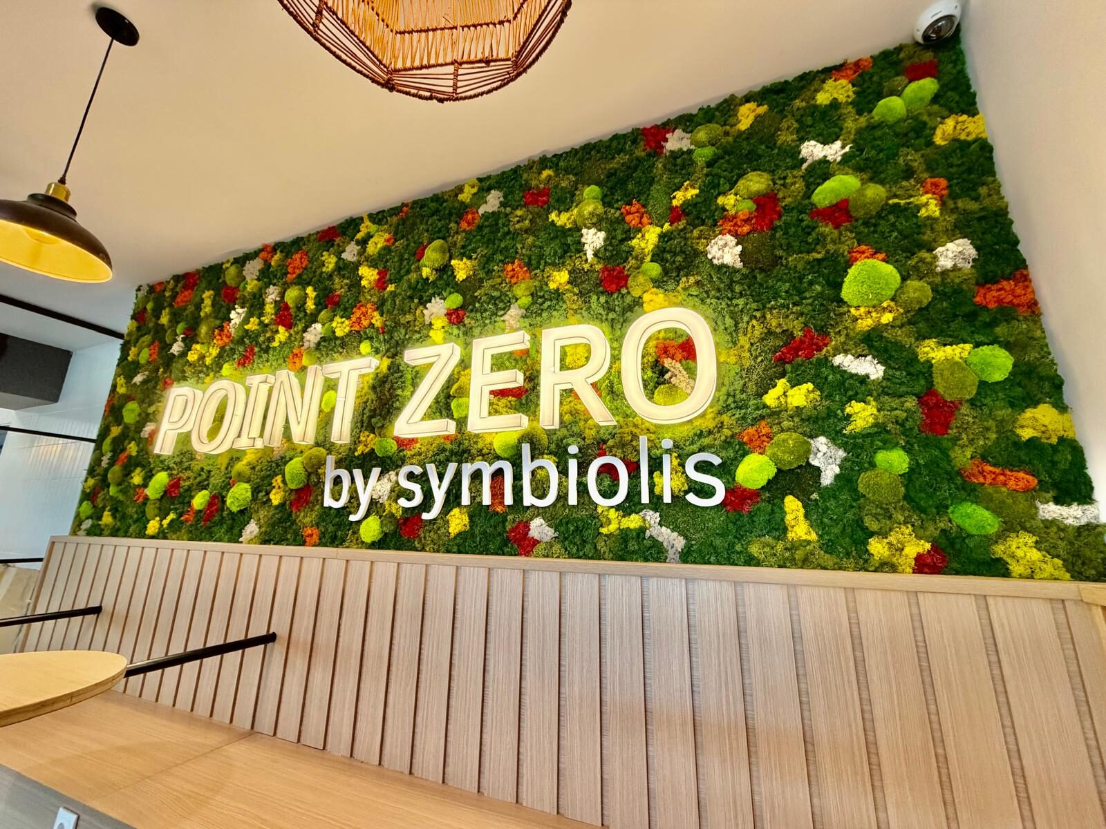 Vertical garden with varied mosses and preserved plants in a hotel